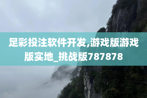 足彩投注软件开发,游戏版游戏版实地_挑战版787878