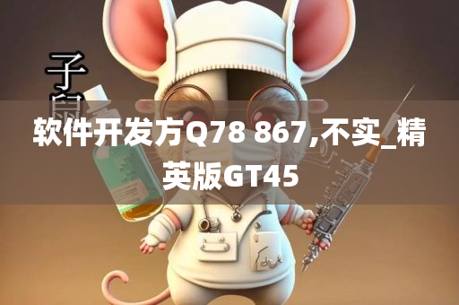 软件开发方Q78 867,不实_精英版GT45