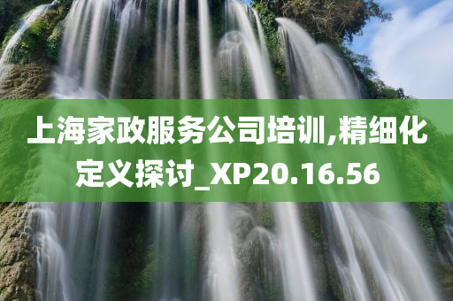 上海家政服务公司培训,精细化定义探讨_XP20.16.56