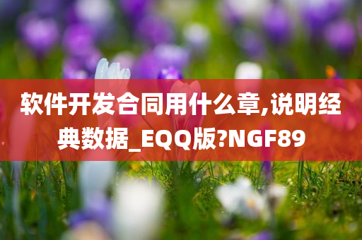 软件开发合同用什么章,说明经典数据_EQQ版?NGF89