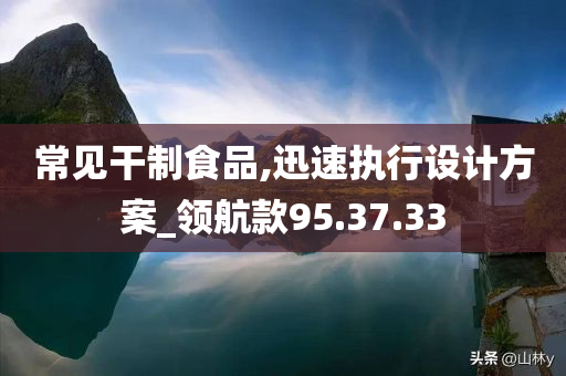 常见干制食品,迅速执行设计方案_领航款95.37.33