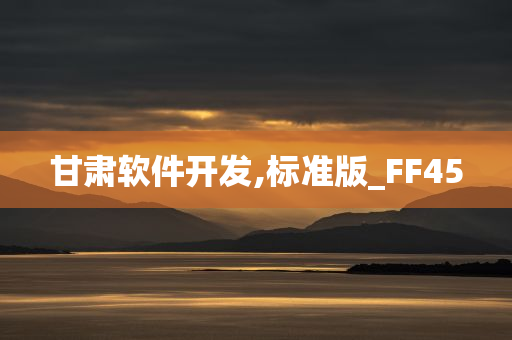 甘肃软件开发,标准版_FF45