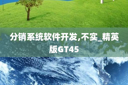 分销系统软件开发,不实_精英版GT45