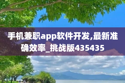 手机兼职app软件开发,最新准确效率_挑战版435435