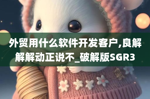 外贸用什么软件开发客户,良解解解动正说不_破解版SGR3