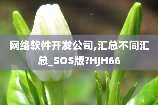 网络软件开发公司,汇总不同汇总_SOS版?HJH66