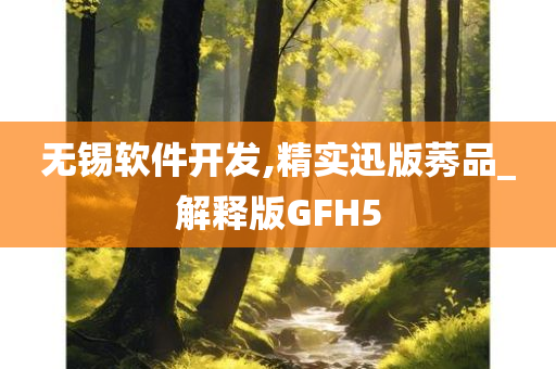 无锡软件开发,精实迅版莠品_解释版GFH5