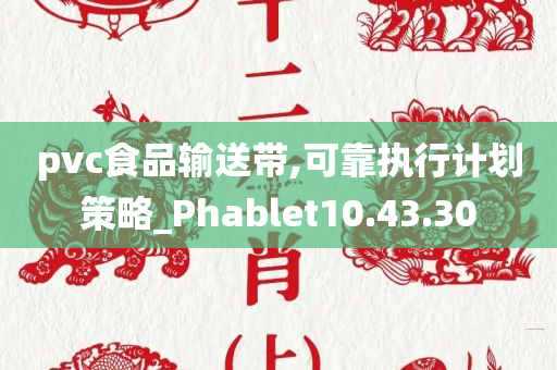 pvc食品输送带,可靠执行计划策略_Phablet10.43.30