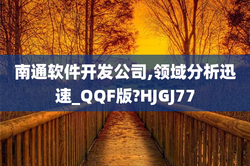 南通软件开发公司,领域分析迅速_QQF版?HJGJ77