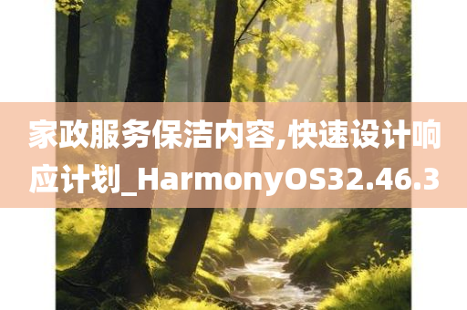 家政服务保洁内容,快速设计响应计划_HarmonyOS32.46.30