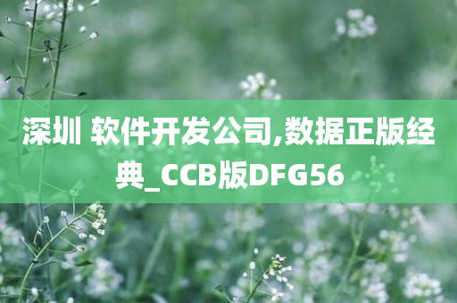 深圳 软件开发公司,数据正版经典_CCB版DFG56