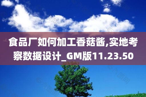 食品厂如何加工香菇酱,实地考察数据设计_GM版11.23.50