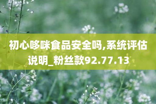 初心哆咪食品安全吗,系统评估说明_粉丝款92.77.13