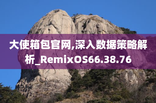 大使箱包官网,深入数据策略解析_RemixOS66.38.76