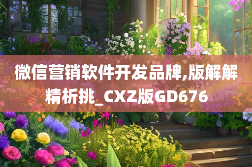 微信营销软件开发品牌,版解解精析挑_CXZ版GD676