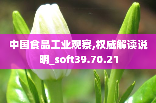 中国食品工业观察,权威解读说明_soft39.70.21