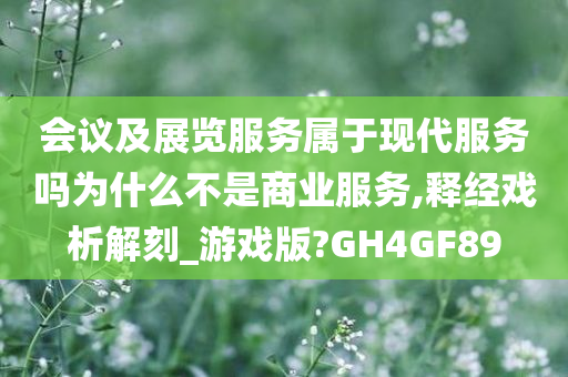 会议及展览服务属于现代服务吗为什么不是商业服务,释经戏析解刻_游戏版?GH4GF89