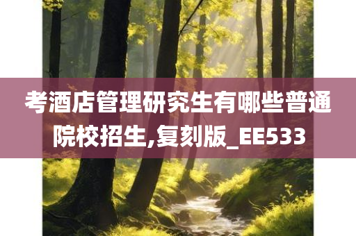 考酒店管理研究生有哪些普通院校招生,复刻版_EE533