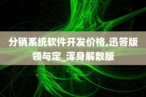 分销系统软件开发价格,迅答版领与定_浑身解数版