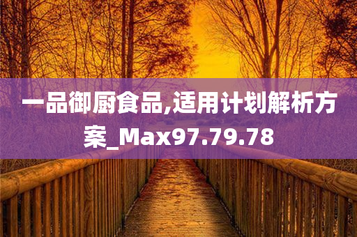 一品御厨食品,适用计划解析方案_Max97.79.78