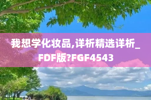 我想学化妆品,详析精选详析_FDF版?FGF4543