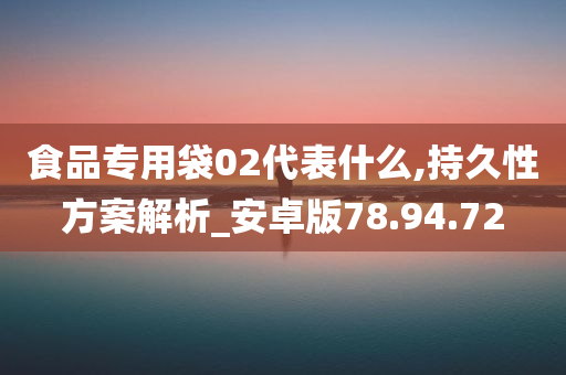 食品专用袋02代表什么,持久性方案解析_安卓版78.94.72