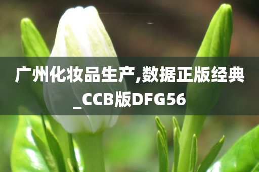 广州化妆品生产,数据正版经典_CCB版DFG56