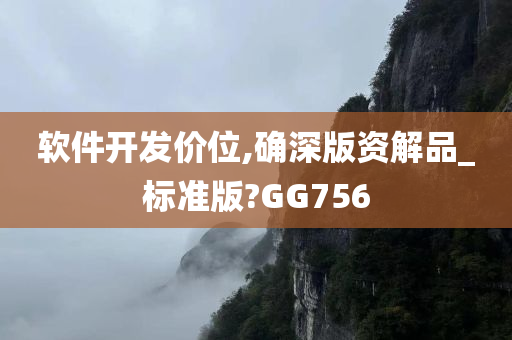 软件开发价位,确深版资解品_标准版?GG756