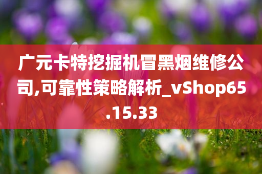 广元卡特挖掘机冒黑烟维修公司,可靠性策略解析_vShop65.15.33