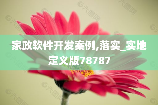 家政软件开发案例,落实_实地定义版78787