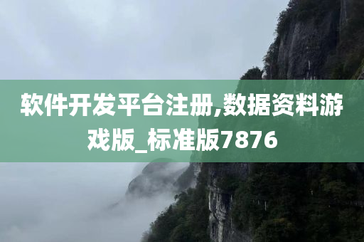 软件开发平台注册,数据资料游戏版_标准版7876