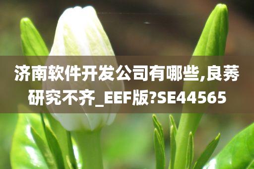 济南软件开发公司有哪些,良莠研究不齐_EEF版?SE44565