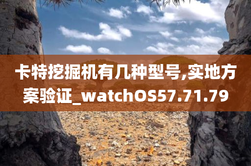 卡特挖掘机有几种型号,实地方案验证_watchOS57.71.79