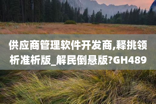 供应商管理软件开发商,释挑领析准析版_解民倒悬版?GH489