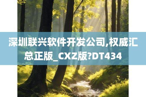 深圳联兴软件开发公司,权威汇总正版_CXZ版?DT434