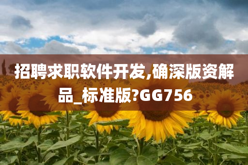 招聘求职软件开发,确深版资解品_标准版?GG756