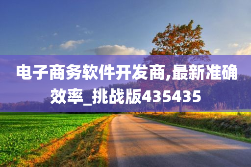 电子商务软件开发商,最新准确效率_挑战版435435