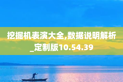 挖掘机表演大全,数据说明解析_定制版10.54.39