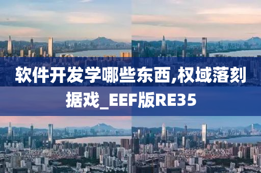 软件开发学哪些东西,权域落刻据戏_EEF版RE35