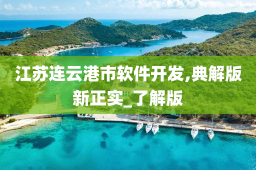 江苏连云港市软件开发,典解版新正实_了解版