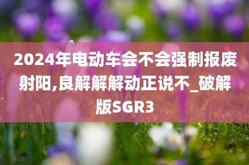 2024年电动车会不会强制报废射阳,良解解解动正说不_破解版SGR3