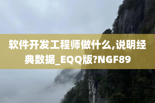 软件开发工程师做什么,说明经典数据_EQQ版?NGF89