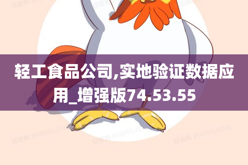 轻工食品公司,实地验证数据应用_增强版74.53.55