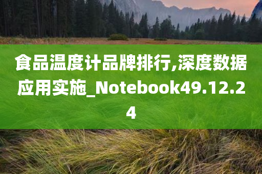 食品温度计品牌排行,深度数据应用实施_Notebook49.12.24