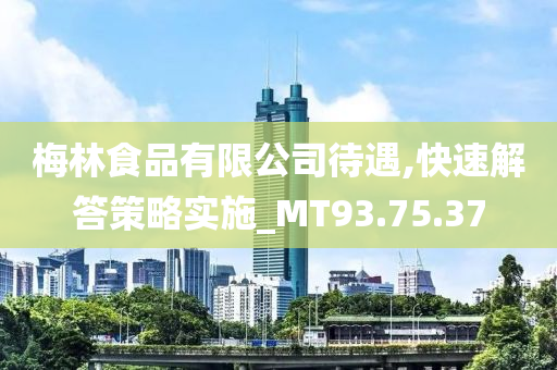 梅林食品有限公司待遇,快速解答策略实施_MT93.75.37