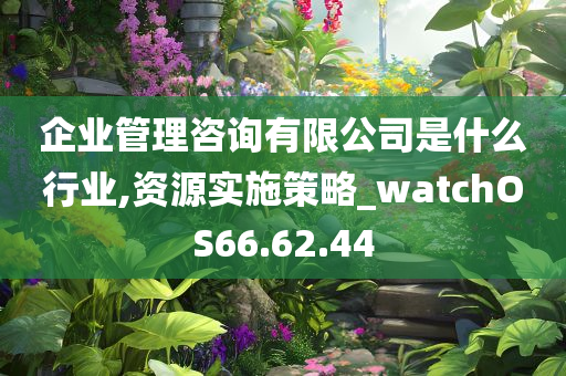 企业管理咨询有限公司是什么行业,资源实施策略_watchOS66.62.44