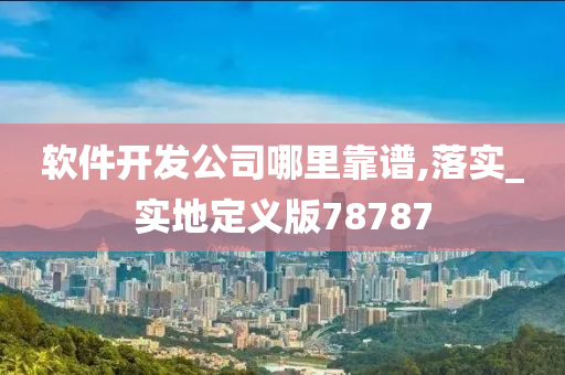 软件开发公司哪里靠谱,落实_实地定义版78787