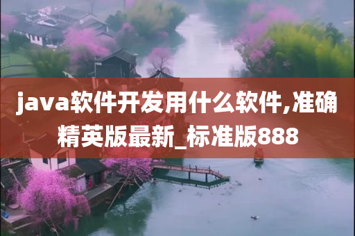 java软件开发用什么软件,准确精英版最新_标准版888