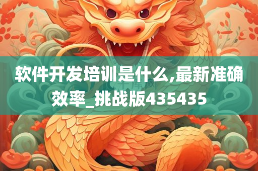 软件开发培训是什么,最新准确效率_挑战版435435