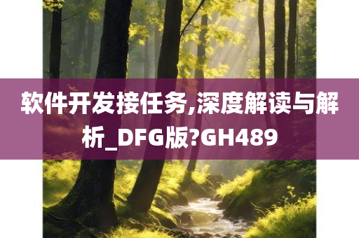 软件开发接任务,深度解读与解析_DFG版?GH489